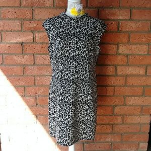 Size 16 Sandra Darren leopard dress
